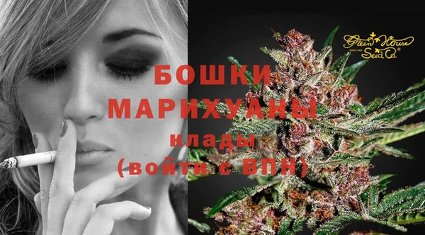 твердый Елабуга