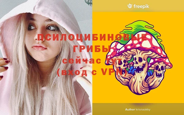 apvp Елизово