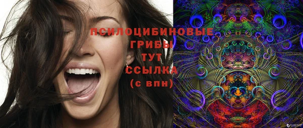 твердый Елабуга