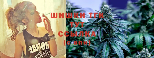 твердый Елабуга