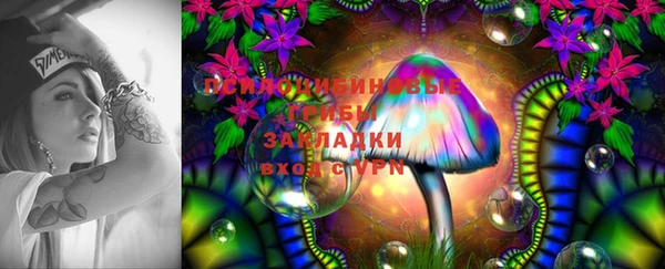твердый Елабуга