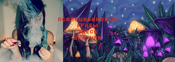 твердый Елабуга
