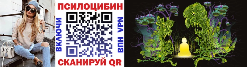 Купить  Княгинино  Псилоцибиновые грибы MAGIC MUSHROOMS 